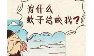 蚊子喜欢叮咬什么样的人（蚊子喜欢叮咬什么样的人群）