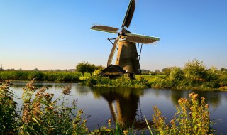 荷兰为什么被称为牧场之国 荷兰为什么被称为牧场之国水之国花之国