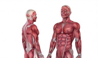 肌肉锻炼方法 颈部肌肉锻炼方法