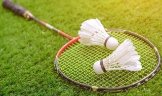 羽毛球（羽毛球世锦赛）