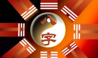 怎么排八字（闰月生人怎么排八字）