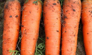β胡萝卜素是什么 阝胡萝卜素作用