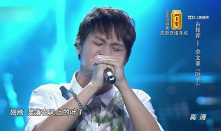 叶子阿桑歌词（叶子原唱阿桑）