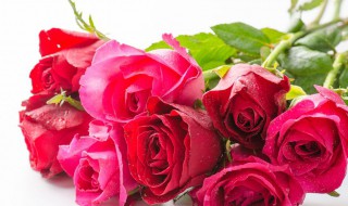 女孩子的生日礼物 适合十岁女孩子的生日礼物