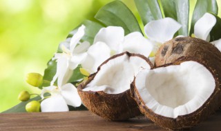 椰壳的功效与作用 椰壳的功效与作用是什么