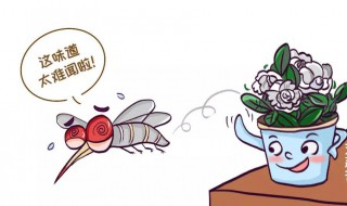 驱赶蚊子的生活小妙招视频 驱赶蚊子的生活小妙招