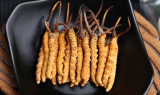 虫草怎么存放才不会变质 怎么存放虫草