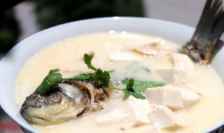 鲫鱼豆腐奶白色汤的做法 如何煮出奶白的鲫鱼豆腐汤