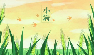 小满前后点瓜种豆是什么意思（小满前后种豆种瓜）