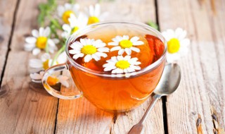 杭白菊枸杞茶的功效与作用
