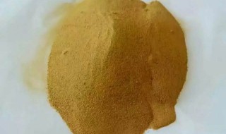 干玉米粉有什么营养 玉米干粉的功效与作用