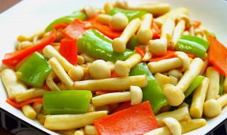 素炒海鲜菇的做法大全 素炒海鲜菇的做法