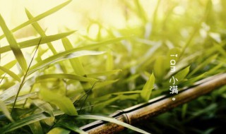 小满有什么民俗 小满有什么民俗活动