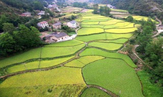 一公顷是多少亩地多少平方米 一公顷是多少亩地