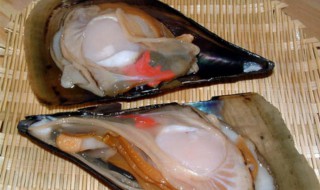 带子是什么海鲜（白玉带子是什么海鲜）