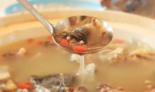 怎样炖甲鱼汤才不腥气 怎样炖甲鱼汤才不腥