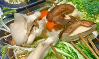 海蘑菇是什么（海蘑菇是什么蘑菇）