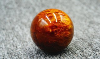 海柳木的特点是什么呢 海柳木的特点是什么