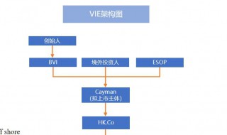 VIE架构是什么（vie架构视频讲解）