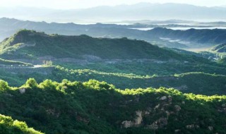 空气湿度多少为最佳 鼻炎空气湿度多少为最佳