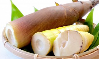 黑胡椒芦笋的做法大全 黑椒芦笋做法窍门