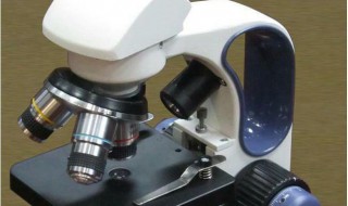 观察寄生虫显微镜使用方法 观察寄生虫显微镜使用方法图片