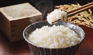 请问糙米直接蒸米饭可以吗 糙米能直接蒸米饭吗