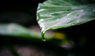 梅雨季节怎么除湿 梅雨季节怎么除湿气