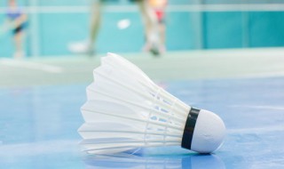 羽毛球的规则 羽毛球的规则和打法