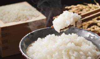 热米饭可以放冰箱里吗 热米饭可以放冰箱里吗多久