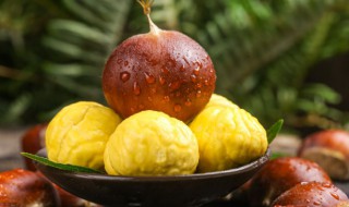 熟板栗常温下可以放多久（熟板栗放多久不能吃）