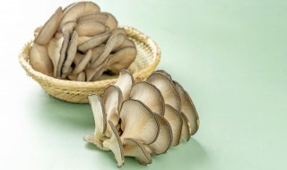 炒青菜蘑菇的制作方法的做法（炒青菜蘑菇的家常做法）