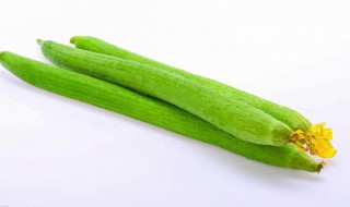 丝瓜可以放冰箱保鲜吗（丝瓜可以放冰箱保鲜吗?）