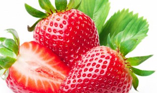 草莓的哪些功效对老人养生（草莓的哪些功效对老人养生有帮助）