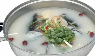 川弓白芷鱼头汤的做法 川芎白芷鱼头煲的做法