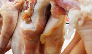 猪脊髓的功效与作用 猪脊髓的功效与作用的功能与主治