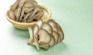 蘑菇可以放冰箱吗 蘑菇保存的最佳办法