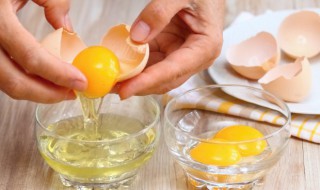 蛋清和蛋黄怎么分离的6种方法（蛋清和蛋黄怎样分离?）
