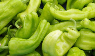 鲜青椒怎样长期保存到冬天 鲜青椒怎样长期保存到冬天吃
