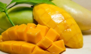芒果的正确切法的做法 芒果的正确切法是什么?