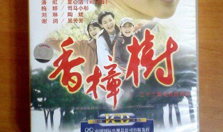 香樟树演员表 香樟树演员表全部介绍