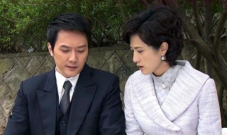 天涯赤子心剧情介绍 天涯赤子心剧情介绍全集免费观看