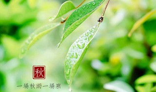 一场秋雨一场凉什么意思 一场秋雨一场凉含义