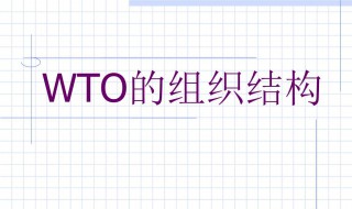 wto是哪个组织的称呼 wto什么组织的简称