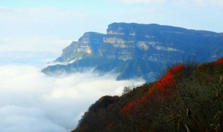 光雾山旅游攻略 巴中光雾山旅游攻略