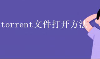 torrent文件怎么打开（网盘torrent文件怎么打开）