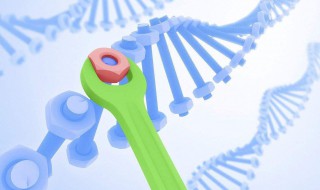 基因工程原理（基因工程原理是基因重组吗）