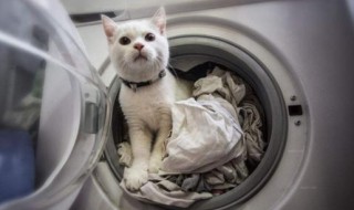 衣服能经常用洗衣机洗吗（衣服能经常用洗衣机洗吗）