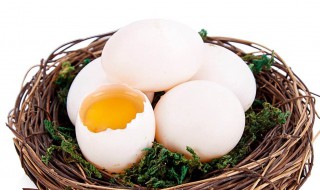 鸽子蛋和鸡蛋哪个营养价值更高 鸽子蛋孕妇吃了有什么好处