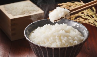 健身可以吃米饭嘛 健身能吃米饭么